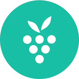 Logo Berrycast, czyli aplikacji, która umożliwia sprawną komunikację dla zespołów
